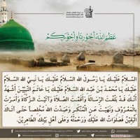 شهادات الأئمة 